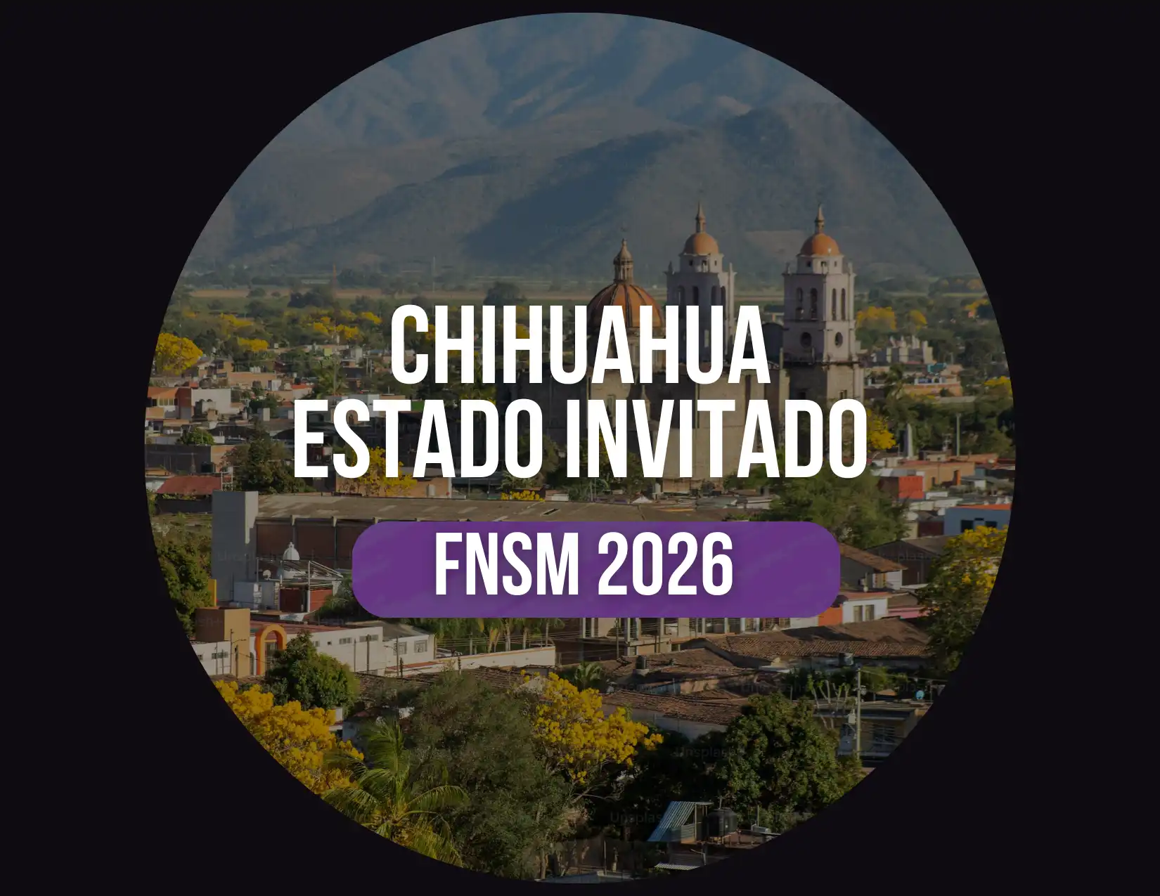 Estado invitado FNSM 2026